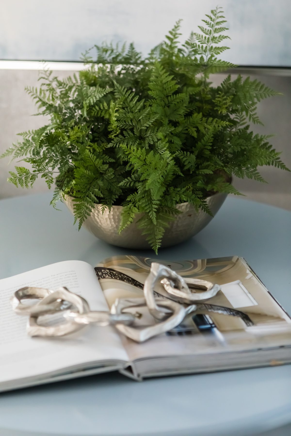 Cozy & Classic, interior detail