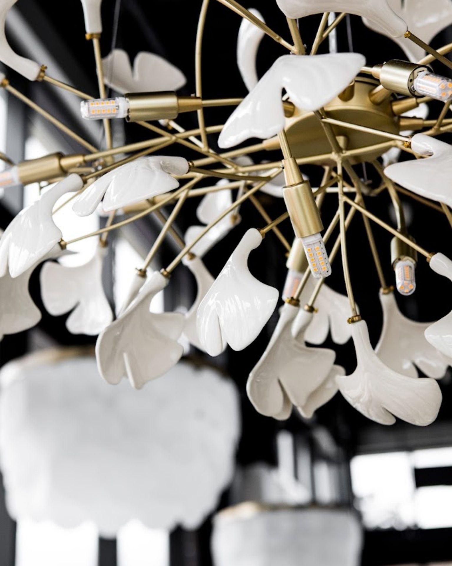 Zest Sushi & Small Plates, interior detail